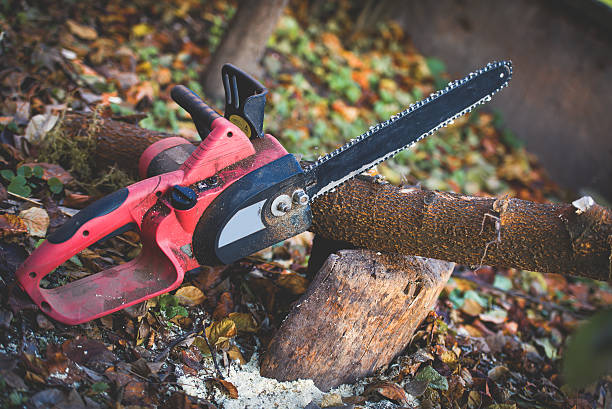 Leaf Removal in Greentree, NJ